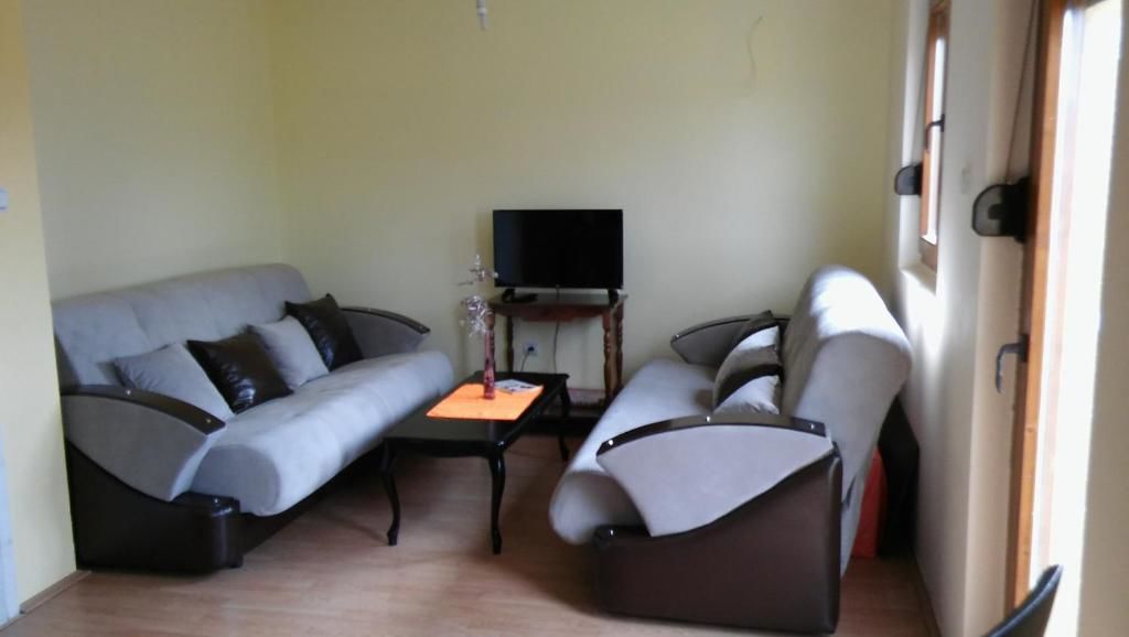 Апартаменты Apartman Žabljak Жабляк-50